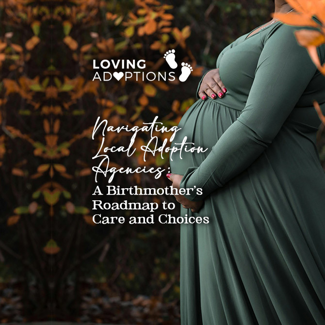 Local Adoption Agencies